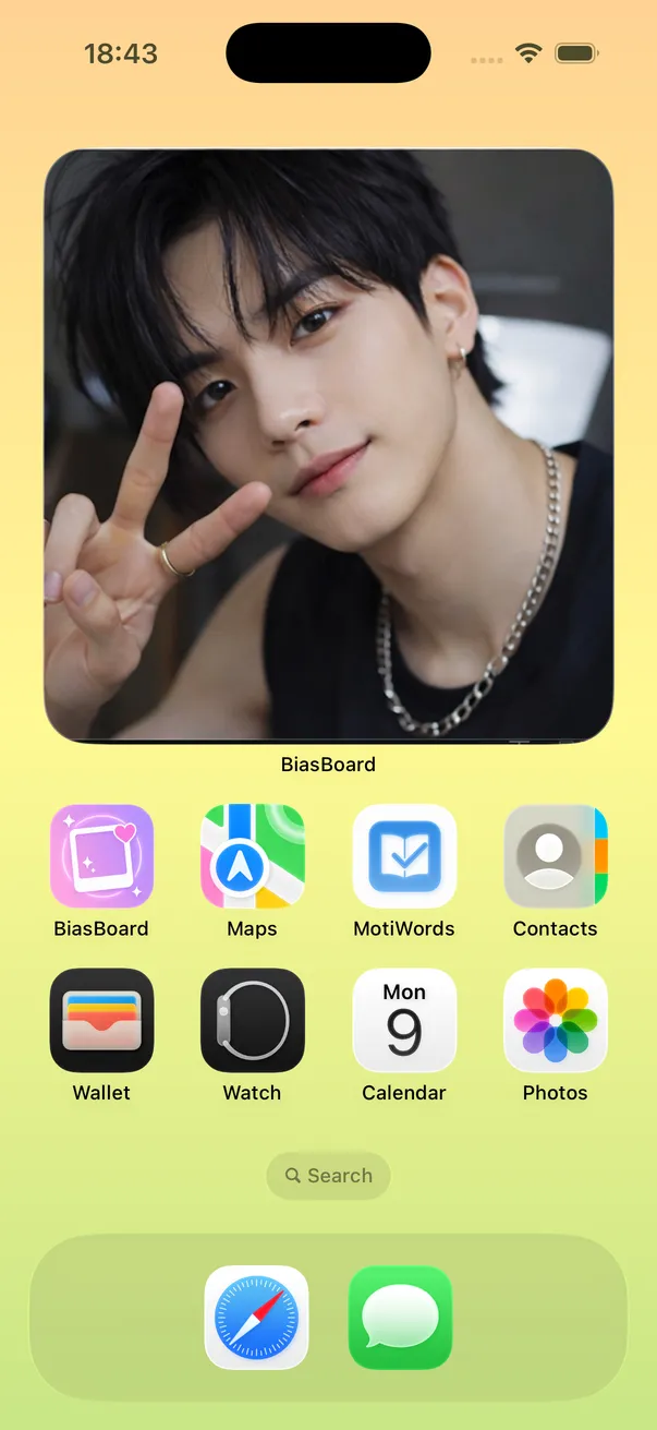 Layout 1